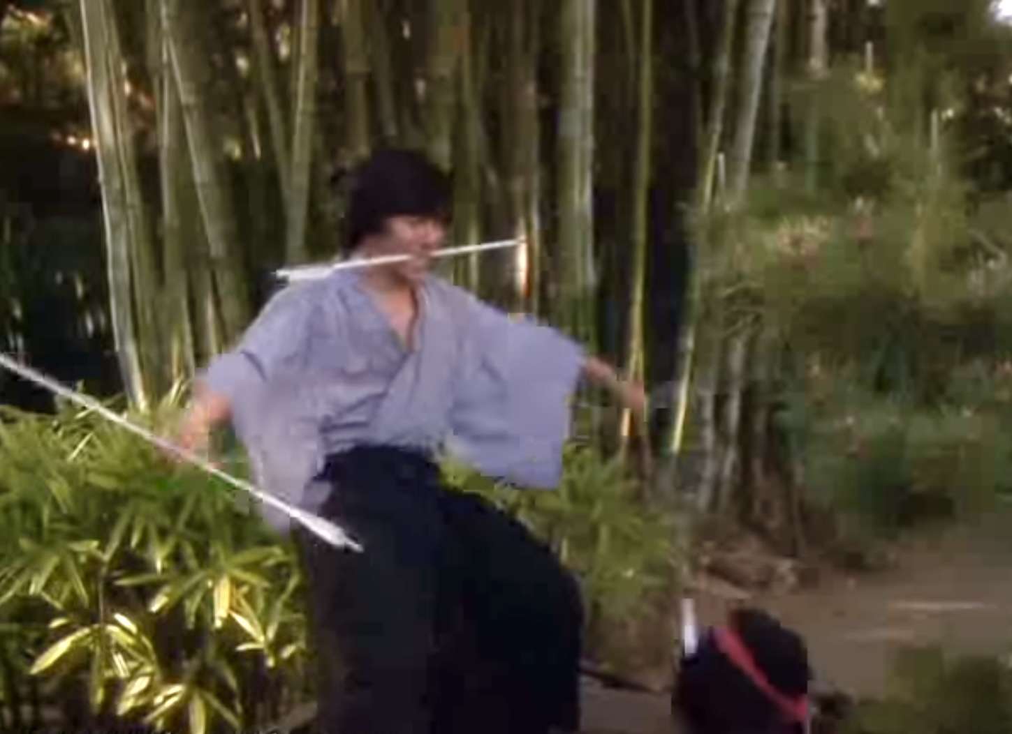 the ninja sho