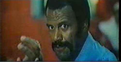 Fred williamson