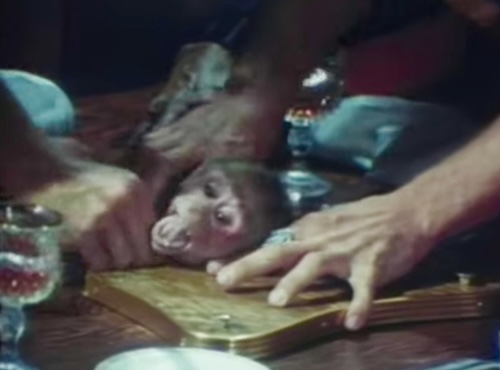 Faces of death
