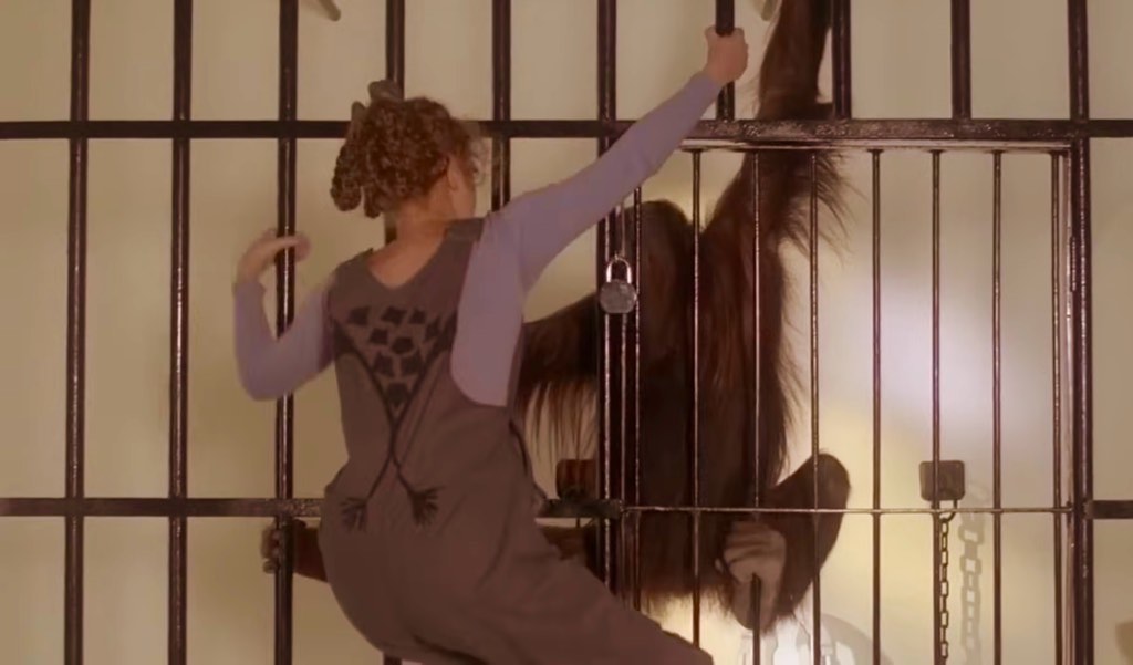 The mafu cage